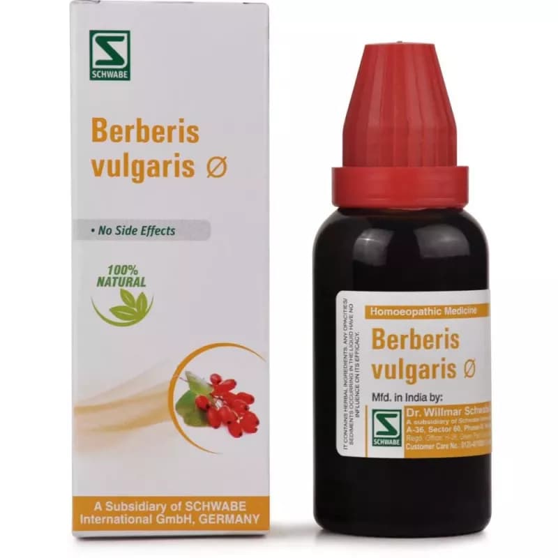 Schwabe Berberis Vul. Q